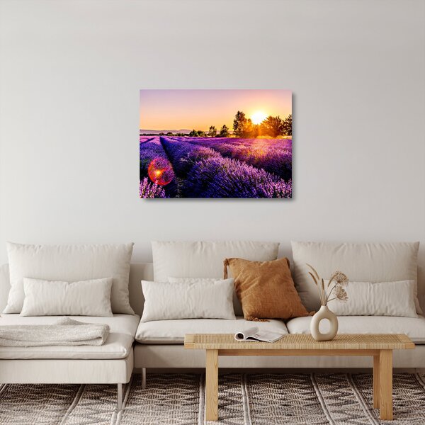 Skleněný obraz levandulového pole (70x50 cm)
