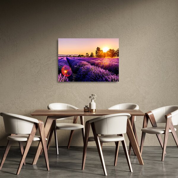 Skleněný obraz levandulového pole (70x50 cm)