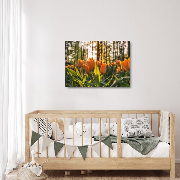 Skleněný obraz - oranžové tulipány (70x50 cm)