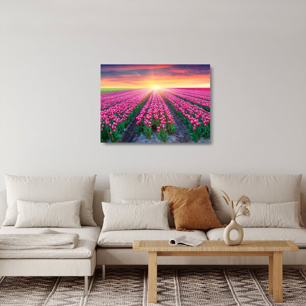 Skleněný obraz pole tulipánů se sluncem (70x50 cm)