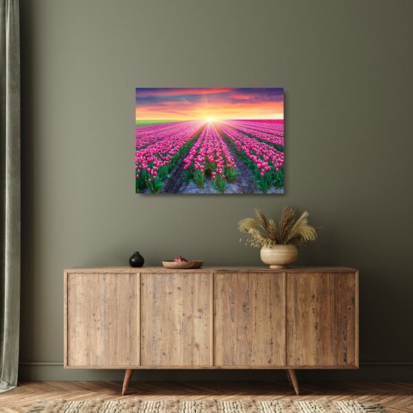 Skleněný obraz pole tulipánů se sluncem (70x50 cm)