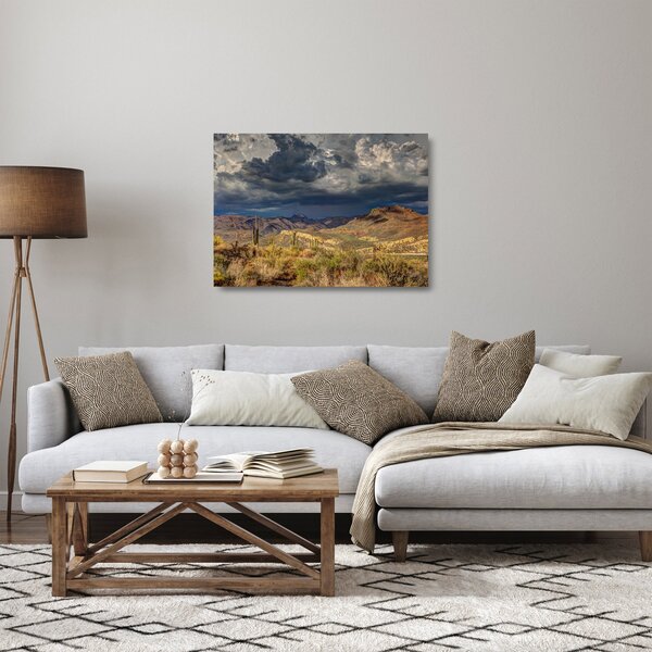 Skleněný obraz - kaktusy v přírodě (70x50 cm)