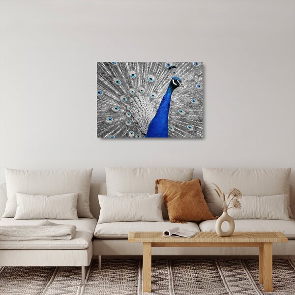 Skleněný obraz - modrý páv (70x50 cm)