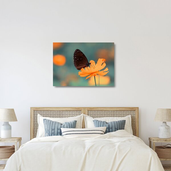 Skleněný obraz - motýl na oranžové květině (70x50 cm)