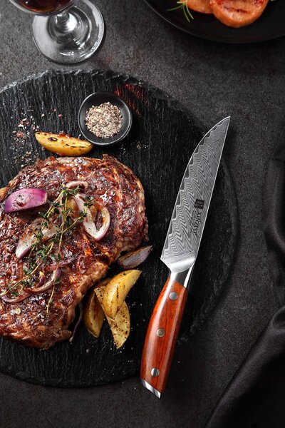 Steakový nůž XinZuo Yi B27 5"