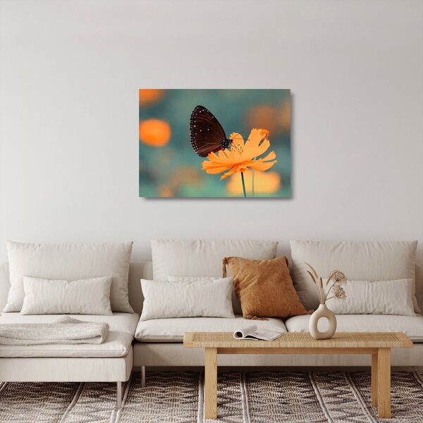 Skleněný obraz - motýl na oranžové květině (70x50 cm)