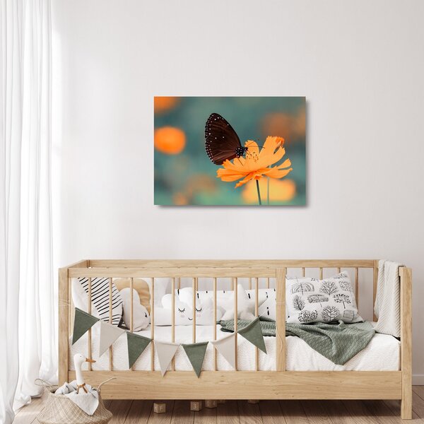 Skleněný obraz - motýl na oranžové květině (70x50 cm)