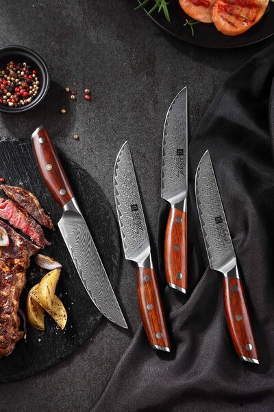 Steakový nůž XinZuo Yi B27 5"
