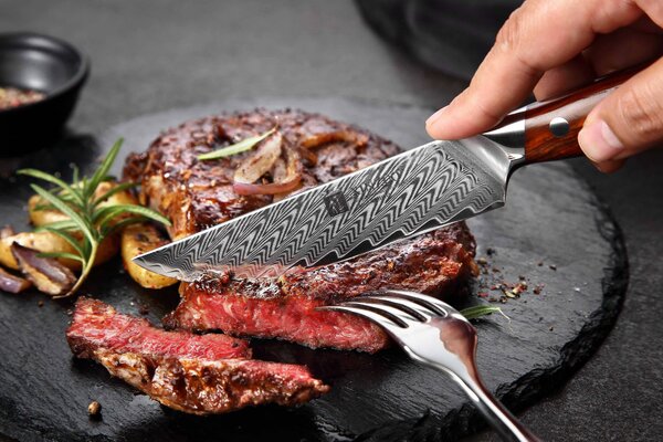 Steakový nůž XinZuo Yi B27 5"