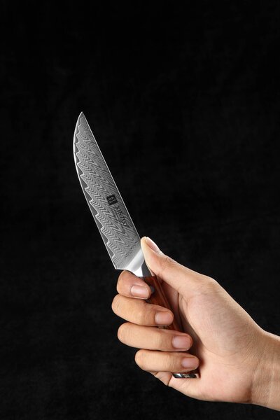 Steakový nůž XinZuo Yi B27 5"