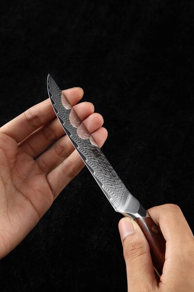 Steakový nůž XinZuo Yi B27 5"