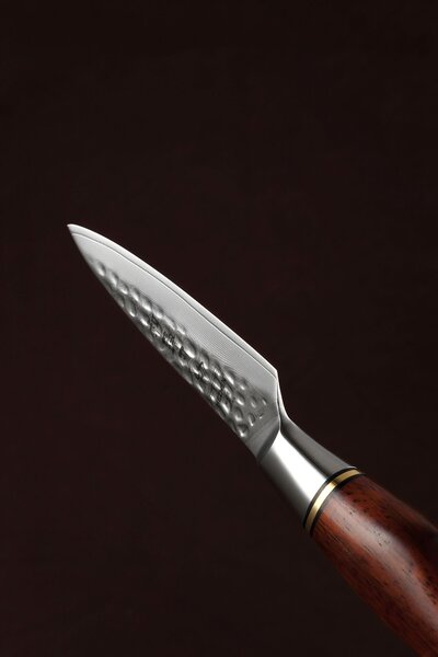 XinZuo Nůž na loupání HEZHEN Master B30R 3.5"