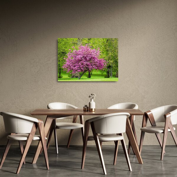 Skleněný obraz rozkvetlého stromu na louce (70x50 cm)