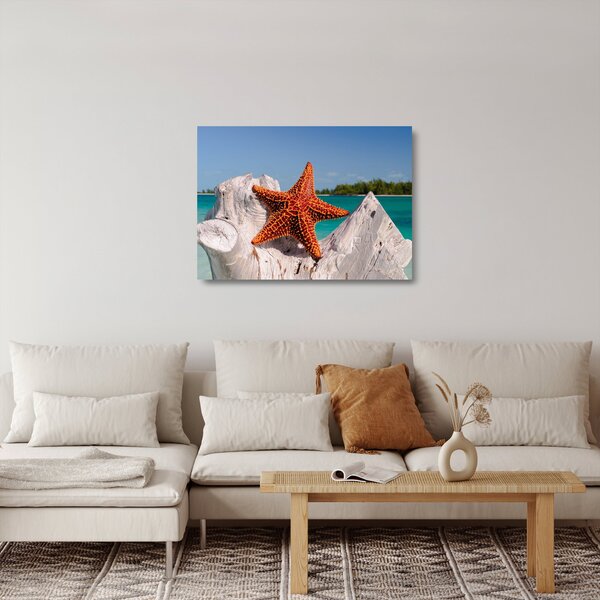 Skleněný obraz mořské hvězdice (70x50 cm)