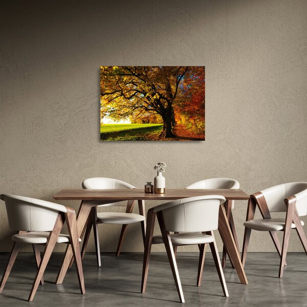 Skleněný obraz podzimu (70x50 cm)