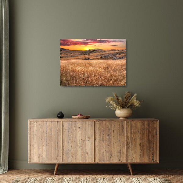 Skleněný obraz pole (70x50 cm)