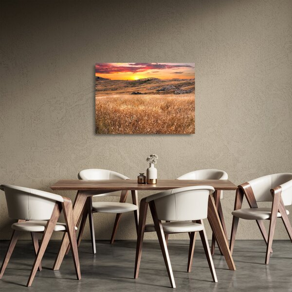 Skleněný obraz pole (70x50 cm)