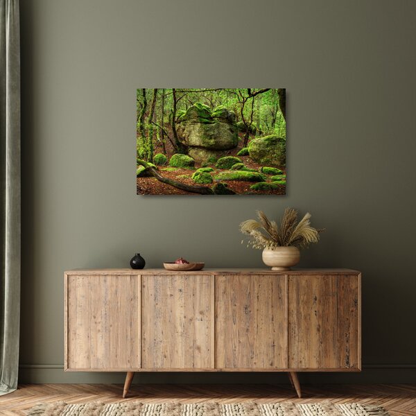 Skleněný obraz kouzelného lesa (70x50 cm)