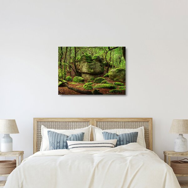Skleněný obraz kouzelného lesa (70x50 cm)