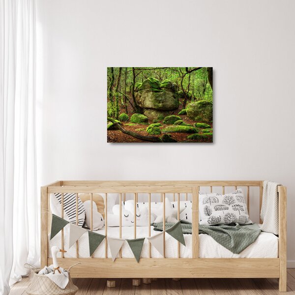 Skleněný obraz kouzelného lesa (70x50 cm)