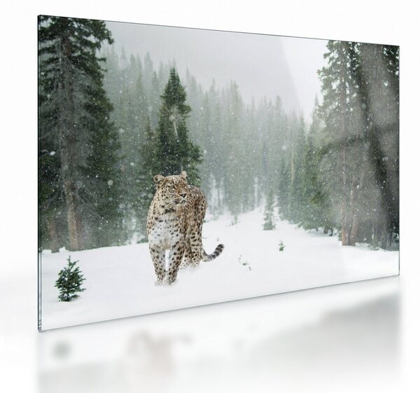 Skleněný obraz leoparda ve sněhu (70x50 cm)