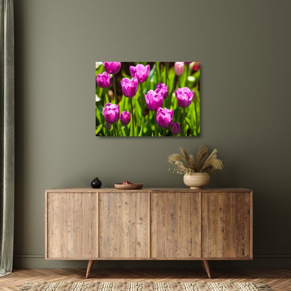 Skleněný obraz tulipánů na louce (70x50 cm)