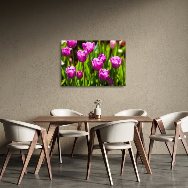 Skleněný obraz tulipánů na louce (70x50 cm)