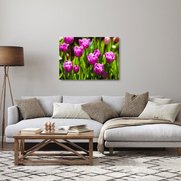 Skleněný obraz tulipánů na louce (70x50 cm)