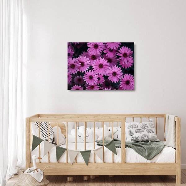 Skleněný obraz růžových květů (70x50 cm)