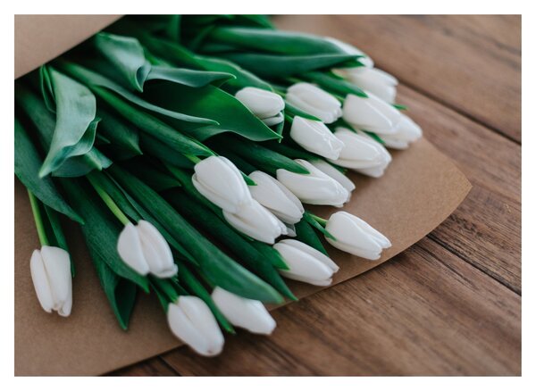 Skleněný obraz kytice bílých tulipánů (70x50 cm)