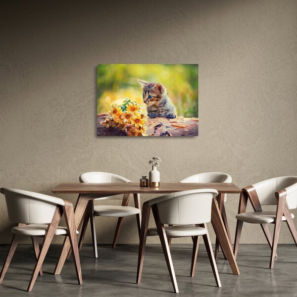 Skleněný obraz koťátka dívající se na květinu (70x50 cm)