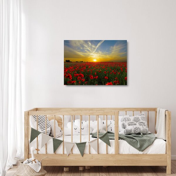Skleněný obraz pole vlčích máků (70x50 cm)