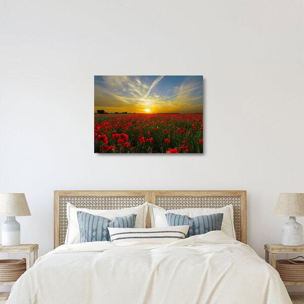 Skleněný obraz pole vlčích máků (70x50 cm)