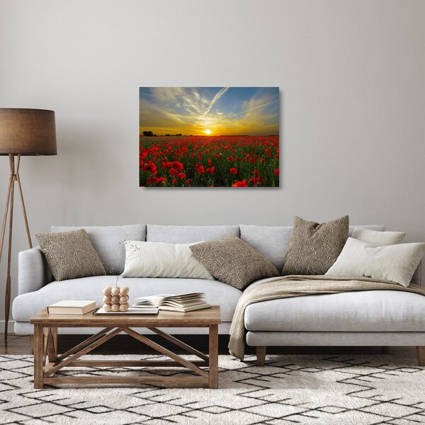 Skleněný obraz pole vlčích máků (70x50 cm)