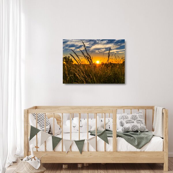 Skleněný obraz pole při západu slunce (70x50 cm)