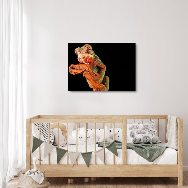 Skleněný obraz chameleona na větvi (70x50 cm)