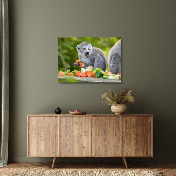 Skleněný obraz lemura (70x50 cm)