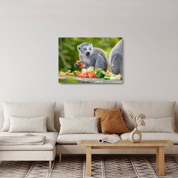 Skleněný obraz lemura (70x50 cm)