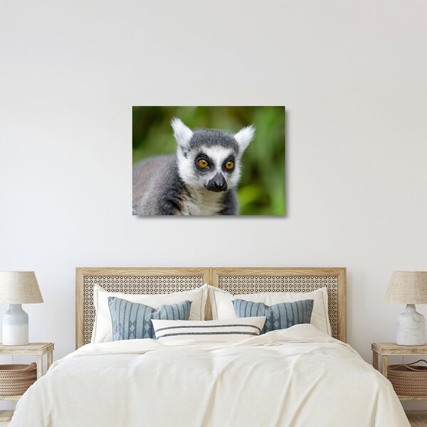 Skleněný obraz lemura (70x50 cm)