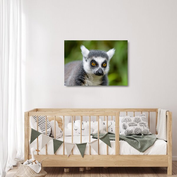 Skleněný obraz lemura (70x50 cm)