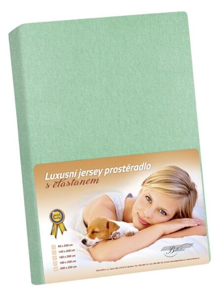 Jersey LUX Zelená /352 - 90x200 cm