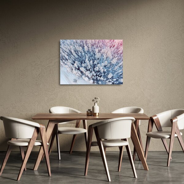 Skleněný obraz zasněžených stromů (70x50 cm)