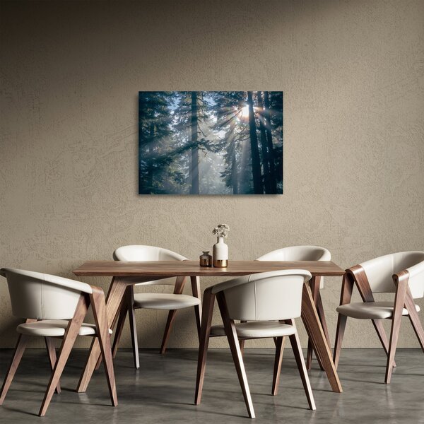 Skleněný obraz stromů s průsvitajícím sluncem (70x50 cm)