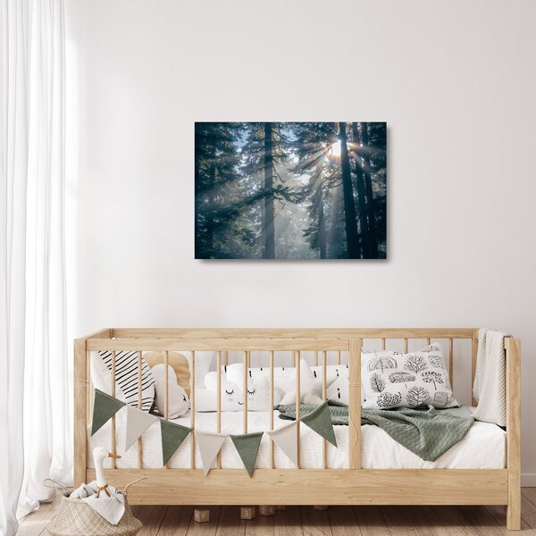 Skleněný obraz stromů s průsvitajícím sluncem (70x50 cm)
