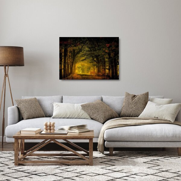 Skleněný obraz lesu (70x50 cm)