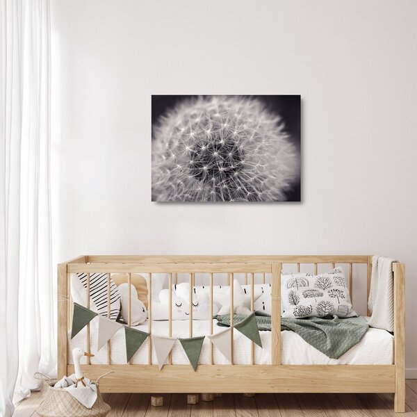 Skleněný obraz pampelišky (70x50 cm)