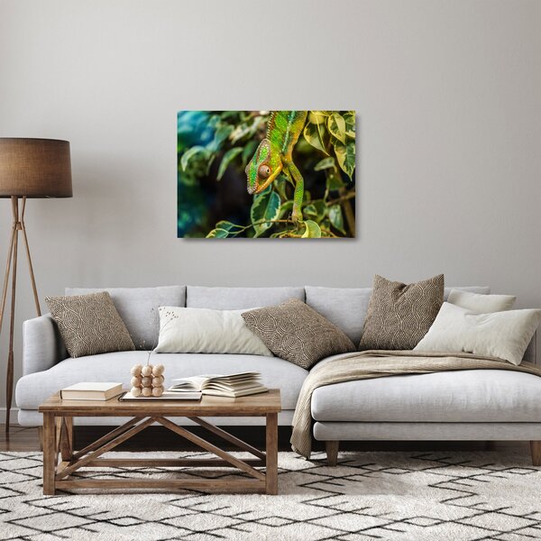 Skleněný obraz chameleona (70x50 cm)