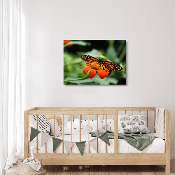 Skleněný obraz motýla na květině (70x50 cm)