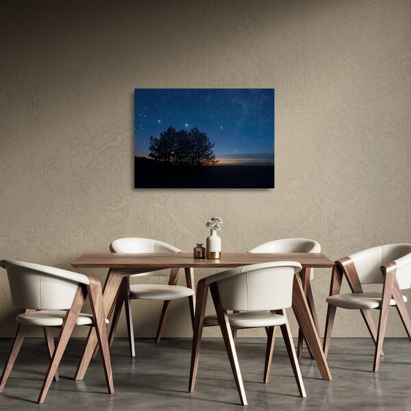 Skleněný obraz stromů v noci (70x50 cm)