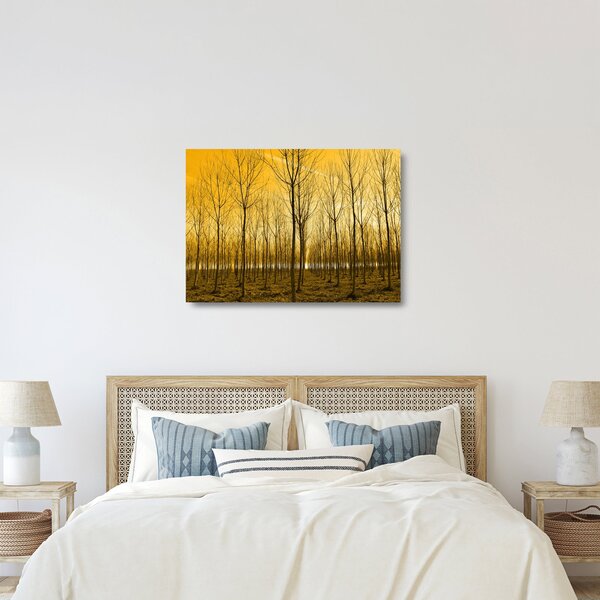 Skleněný obraz - Plantáž stromů (70x50 cm)